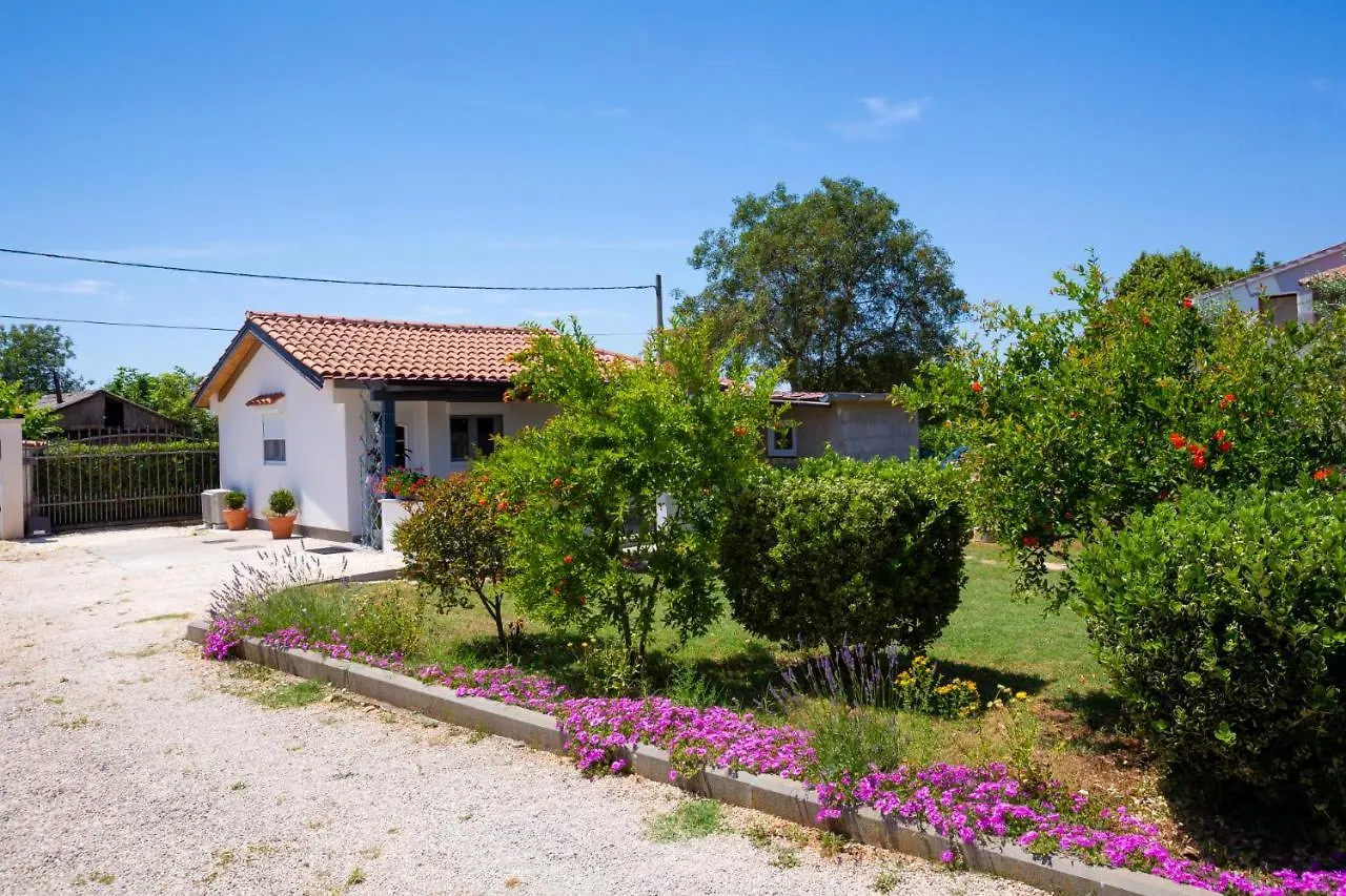 Ankica Sikici Villa Pula Holiday home